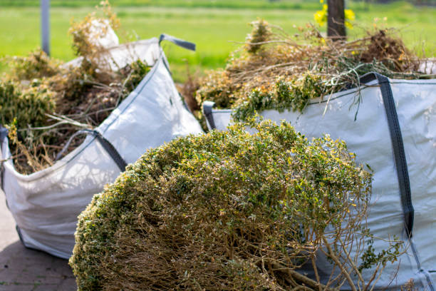 Yard Cleanup Services in Carey, OH